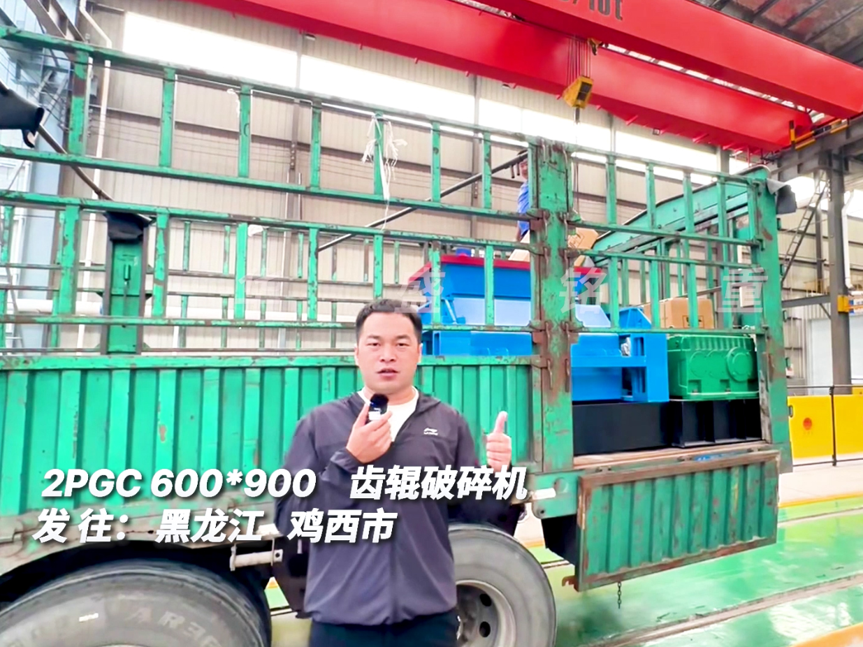 2PGC600*900齒輥破碎機發往黑龍江圖片